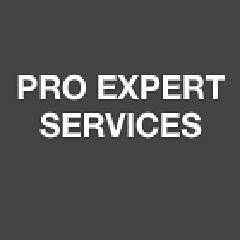 Pro Expert Services Sécurité Privée PESSP, Torcy - Horaires d'ouverture