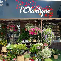 L'Otantique Fleuristerie, Maubec - Horaires d'ouverture