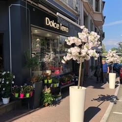 Dolce Terra, Évian-les-Bains - Horaires d'ouverture