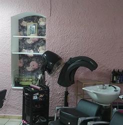 Le Petit Salon, Alzonne - Horaires d'ouverture
