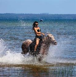Equi-Aventure, Sanguinet - Horaires d'ouverture