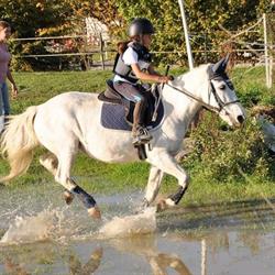Poney-club de Fonsorbes, - Horaires d'ouverture