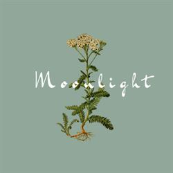 MoonLight Chalet, Saint-Martin-Vésubie - Horaires d'ouverture