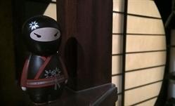 Le Temple du Ninja, Maisons-Alfort - Horaires d'ouverture