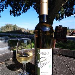 Domaine Le Chapelier, Saint-Julien-de-Peyrolas - Horaires d'ouverture