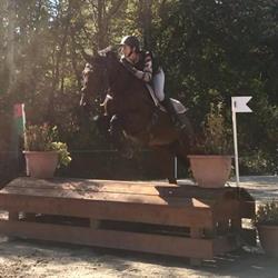 Les Ecuries du Château, Igny-Comblizy - Horaires d'ouverture