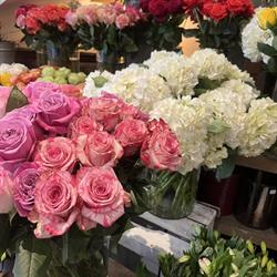 Flor Decos Diflora Creation, Neuilly-Plaisance - Horaires d'ouverture