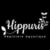 Hippuris - Pépinière Aquatique, Sainte-Catherine - Horaires d'ouverture