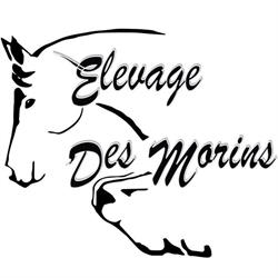 elevage des Morins, Pessines - Horaires d'ouverture