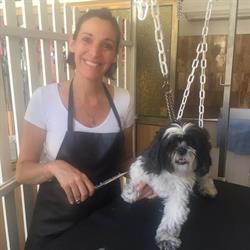 Dog paradise, Nice - Horaires d'ouverture