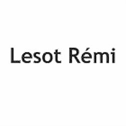 Lesot Rémi, Lyon - Horaires d'ouverture