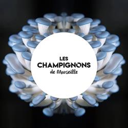 Les Champignons de Marseille, - Horaires d'ouverture