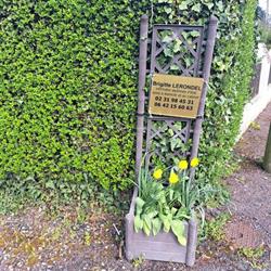 Lerondel Brigitte, Trouville-sur-Mer - Horaires d'ouverture