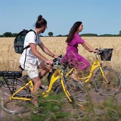 Brocéliande Bike, Paimpont - Horaires d'ouverture