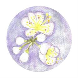 Prêle LOISEAU Naturopathe, Pau - Horaires d'ouverture