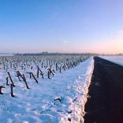 Clos Saint Fiacre, Mareau-aux-Prés - Horaires d'ouverture