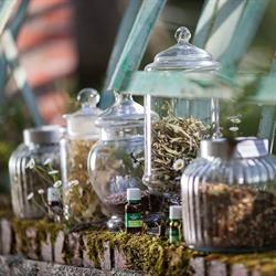 Au Comptoir des Plantes et des Tisanes, Le Loroux-Bottereau - Horaires d'ouverture