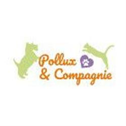 Pollux Et Compagnie, La Salvetat-Saint-Gilles - Horaires d'ouverture