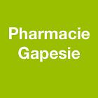 Pharmacie Gapesie, Villetaneuse - Horaires d'ouverture