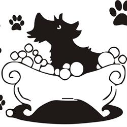HAPPY DOG, Auray - Horaires d'ouverture