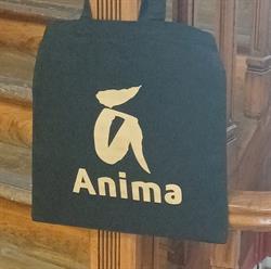 ANIMA - Pôle d'Économie Sociale et Solidaire, Calais - Horaires d'ouverture