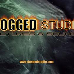 Dogged Studio - Hilpert Claude, Cocheren - Horaires d'ouverture