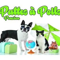 PATTES A POILS, Cruzilles-lès-Mépillat - Horaires d'ouverture