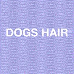 Dog's Hair, Gagny - Horaires d'ouverture