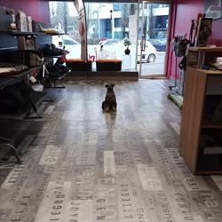 Styl Dog, Annecy - Horaires d'ouverture