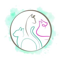 Clinique Vétérinaire Les Chats Du Luberon, Cavaillon - Horaires d'ouverture