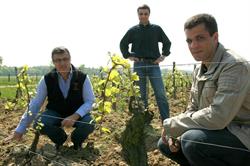 Domaine Michel, Clessé - Horaires d'ouverture