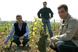 Domaine Michel, Clessé - Horaires d'ouverture
