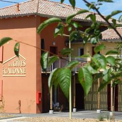 Les Gîtes de la Calonne, Guéreins - Horaires d'ouverture
