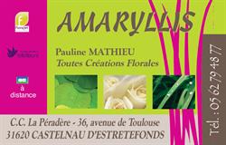 Amaryllis Castelnau, Castelnau-d'Estrétefonds - Horaires d'ouverture