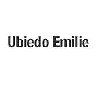 Emilie UBIEDO- Psychothérapies, Saint-Étienne - Horaires d'ouverture