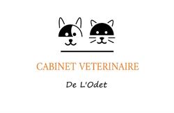 CABINET VETERINAIRE DE L'ODET, Combrit - Horaires d'ouverture