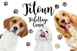 Titoun Toilettage Chien, Lagny-sur-Marne - Horaires d'ouverture