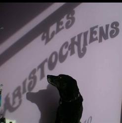 Aristochiens, Langon - Horaires d'ouverture
