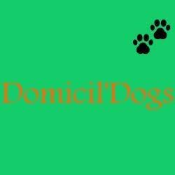 Domicil'Dogs, Razac-sur-l'Isle - Horaires d'ouverture