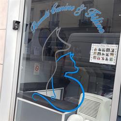beauté canine & féline, Levallois-Perret - Horaires d'ouverture