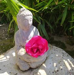 LES PASSERELLES, Villefranche-sur-Cher - Horaires d'ouverture