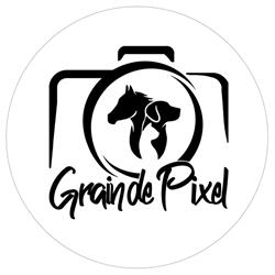 Grain de Pixel - photographe équestre et canin, Gond-Pontouvre - Horaires d'ouverture