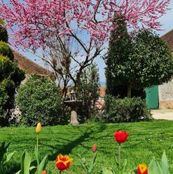 La Chablerie, Marolles-en-Brie - Horaires d'ouverture