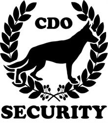 CDO security, Pugnac - Horaires d'ouverture