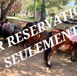 Les Poneys De Provence, Lambesc - Horaires d'ouverture