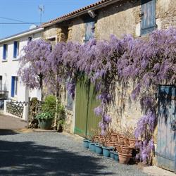 Le Gite Tranquille, La Chapelle-Thémer - Horaires d'ouverture