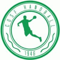 St Fons Co Handball, Saint-Fons - Horaires d'ouverture