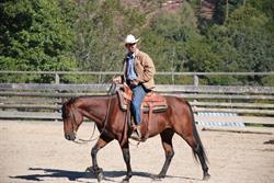 Ranch Tashunka,BoulocNicolas, Saint-Sylvestre - Horaires d'ouverture