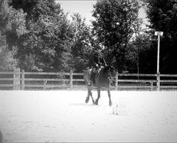 Loue Caval, Ornans - Horaires d'ouverture