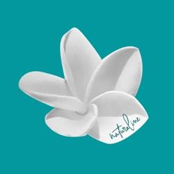 Claret Aline Naturopathe Iridologue, Montpellier - Horaires d'ouverture